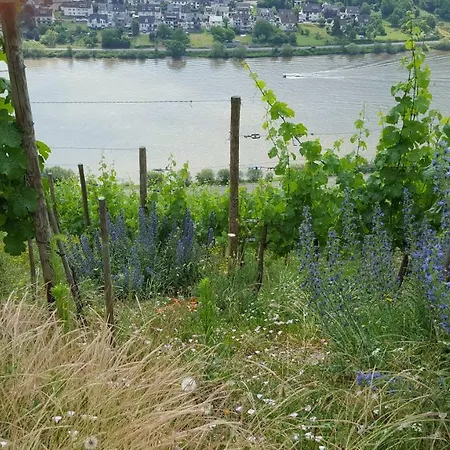 Apartment Ferienwohnung Weinbergblick *