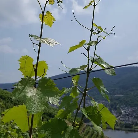 Ferienwohnung Weinbergblick Apartment Kobern-Gondorf